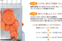 柑橘ジューサーチラシ裏